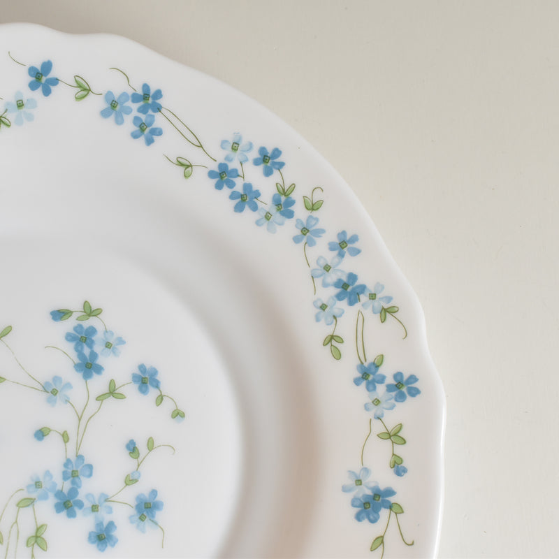 Vintage Deep Plate Arcopal Myosotis (Forget-Me-Not) A