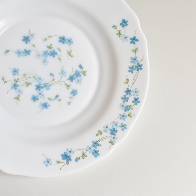 Vintage Deep Plate Arcopal Myosotis (Forget-Me-Not) B
