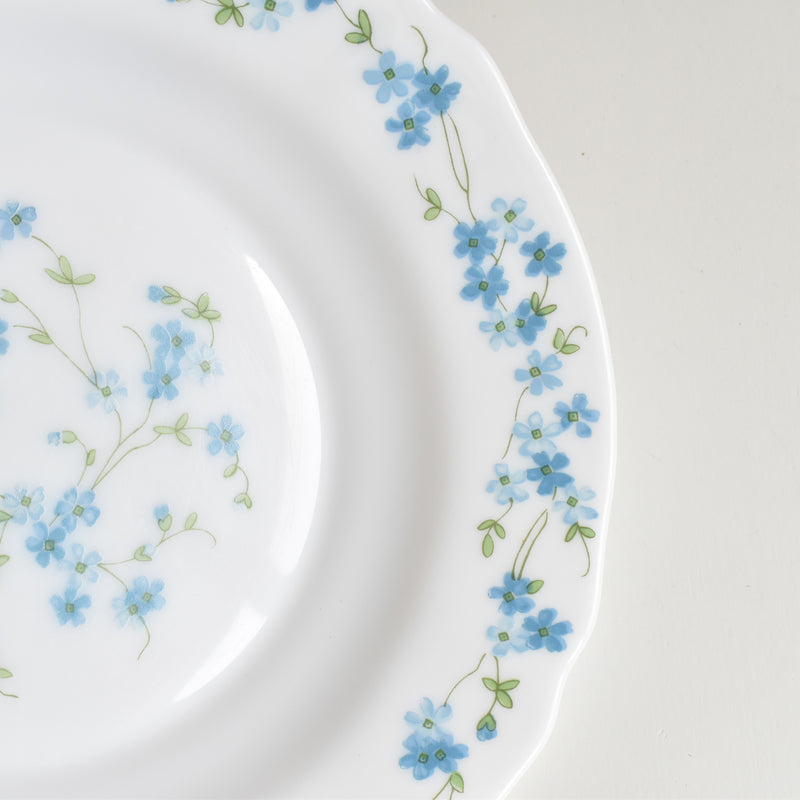 Vintage Deep Plate Arcopal Myosotis (Forget-me-not) C