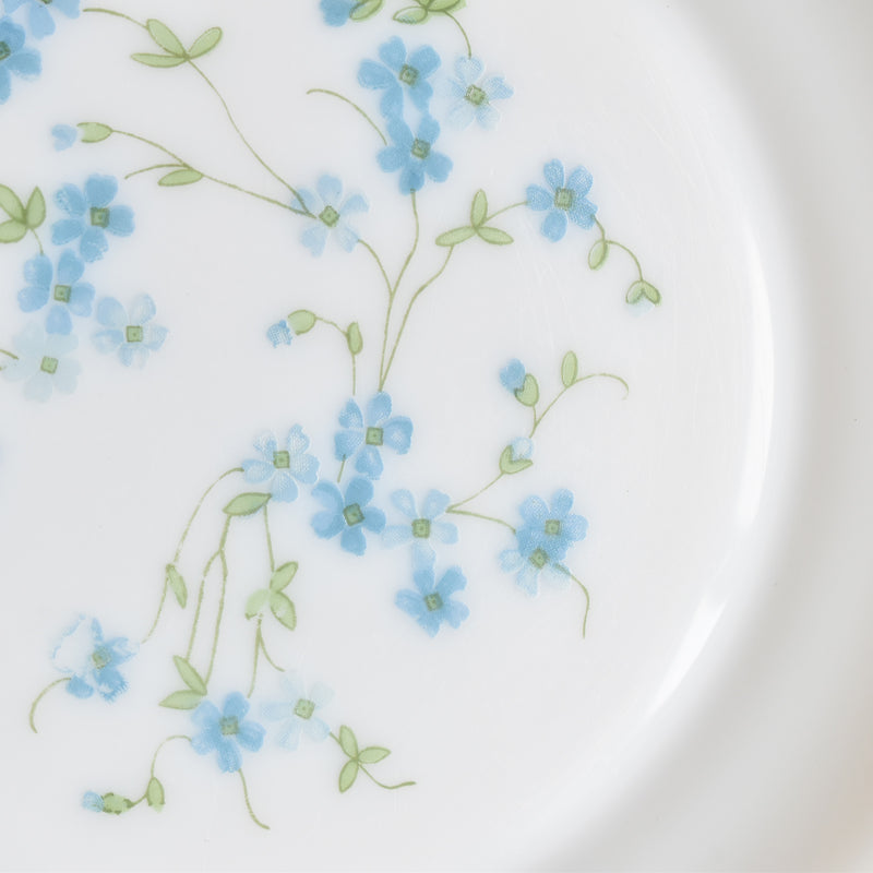 Vintage Deep Plate Arcopal Myosotis (Forget-me-not) C