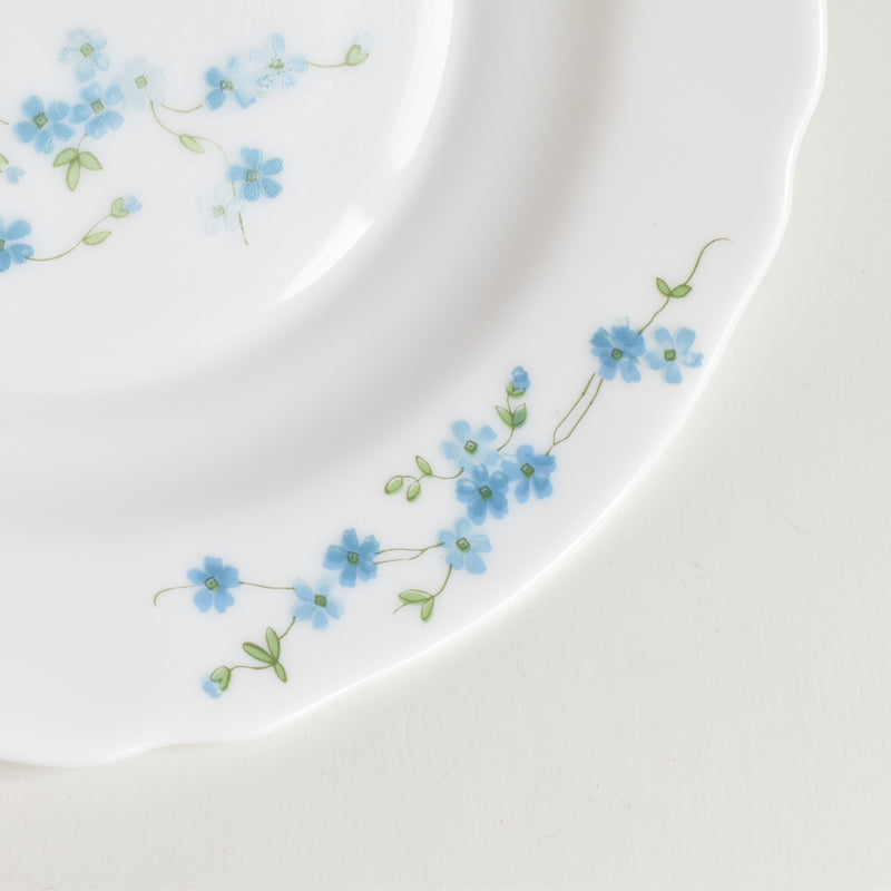 Vintage Deep Plate Arcopal Myosotis (Forget-me-not) C