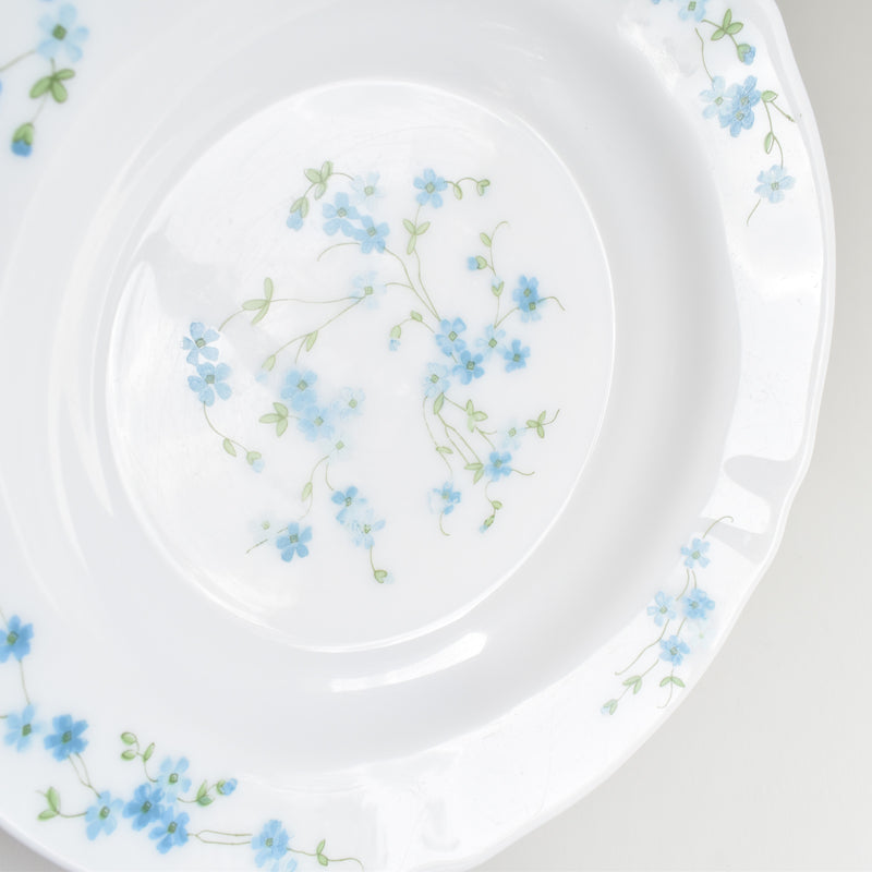 Vintage Deep Plate Arcopal Myosotis (Forget-me-not) C