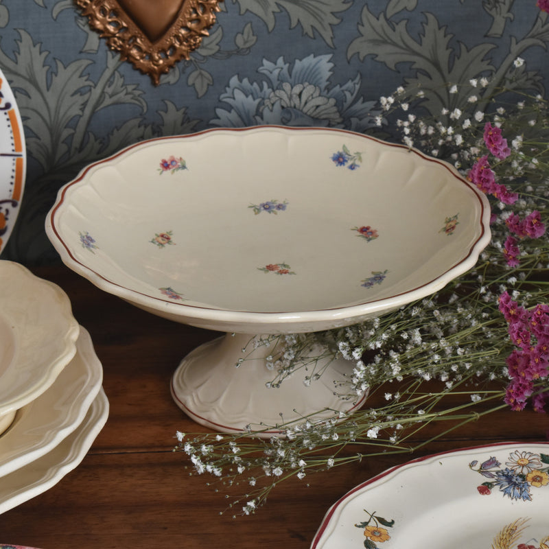 ヴィンテージコンポティエ サラン