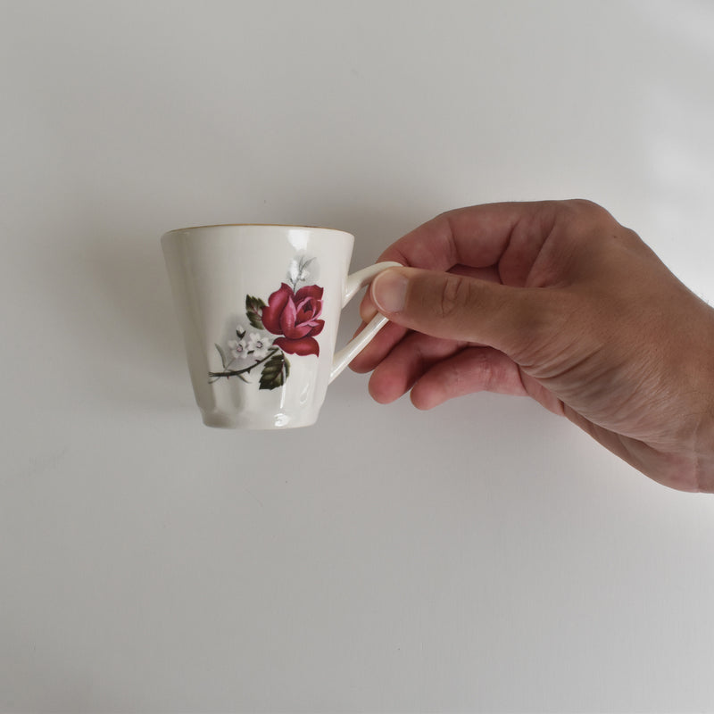 Vintage Coffee Cup & Saucer Digoin & Sarreguemines Hardy A