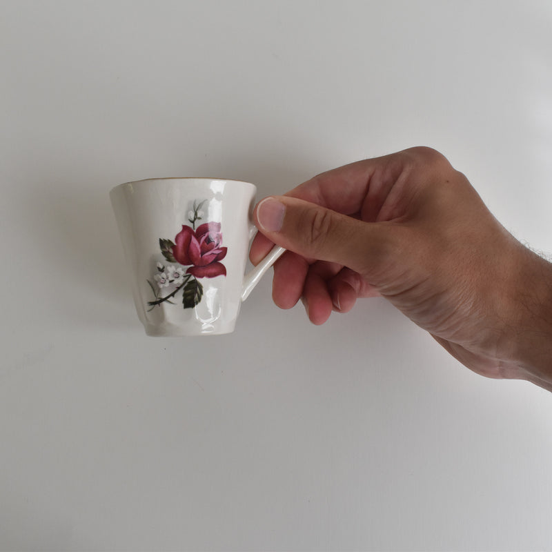 Vintage Coffee Cup & Saucer Digoin & Sarreguemines Hardy B