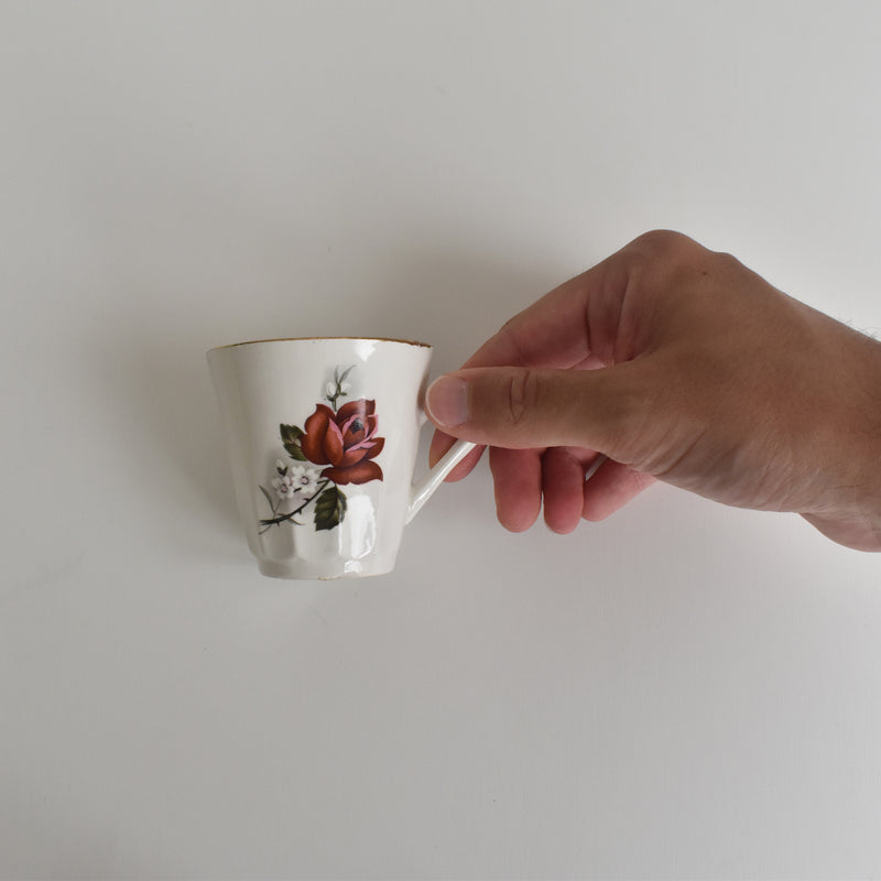 Vintage Coffee Cup & Saucer Digoin & Sarreguemines Hardy D