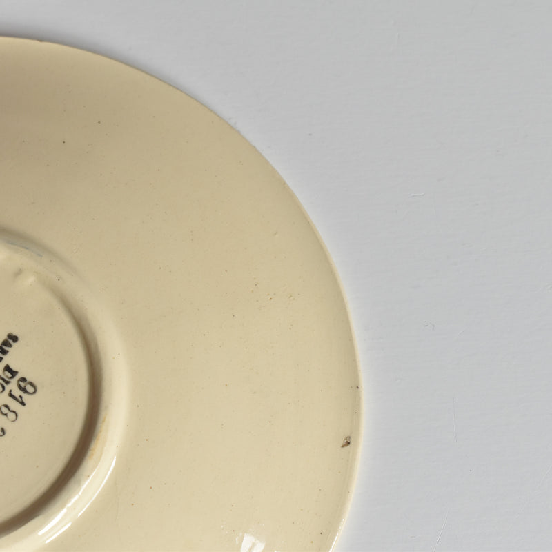 Vintage Cup and Saucer DIGOIN SARREGUEMINES 9183 A