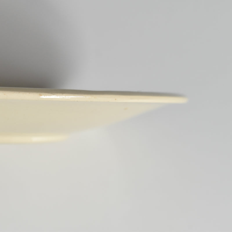 Vintage Cup and Saucer DIGOIN SARREGUEMINES 9183 A