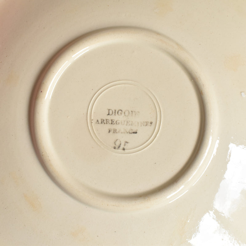 Vintage cup and saucer DIGOIN SARREGUEMINES 9183 B