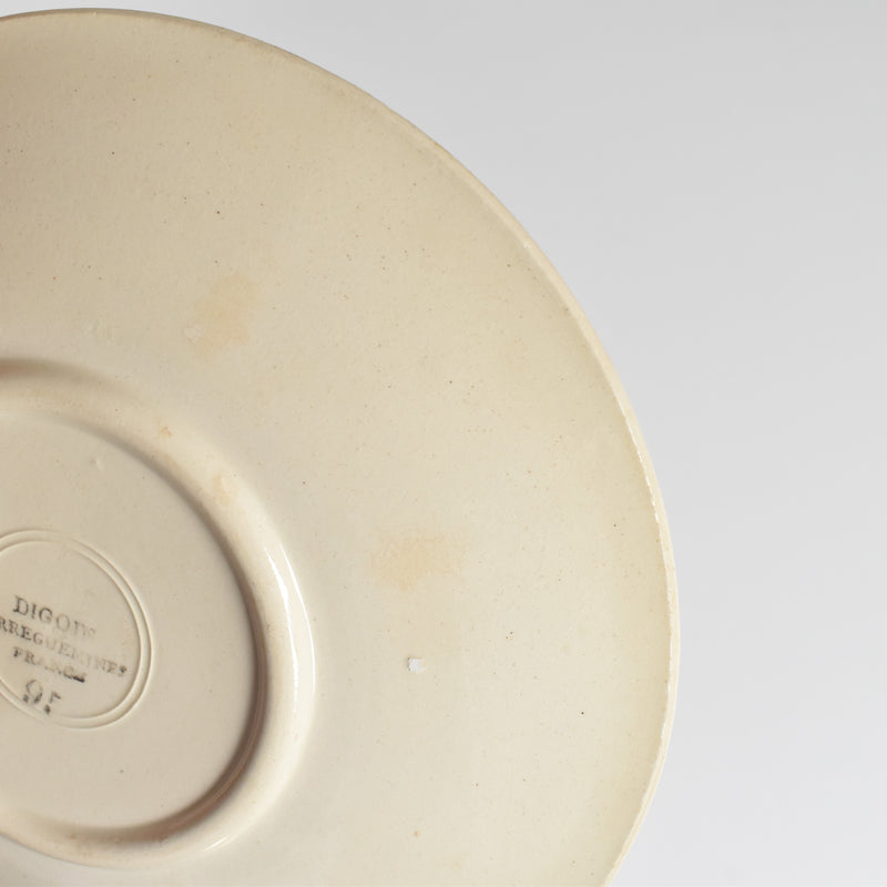 Vintage cup and saucer DIGOIN SARREGUEMINES 9183 B