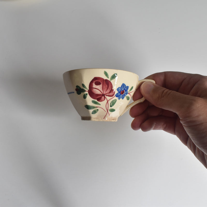 Vintage cup and saucer DIGOIN SARREGUEMINES 9183 B