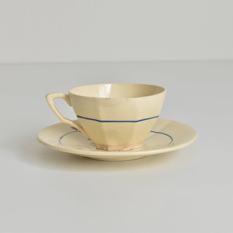 Vintage cup and saucer DIGOIN SARREGUEMINES 9183 B