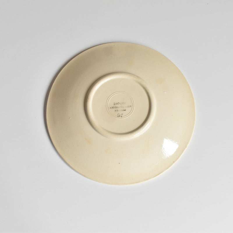 Vintage cup and saucer DIGOIN SARREGUEMINES 9183 B