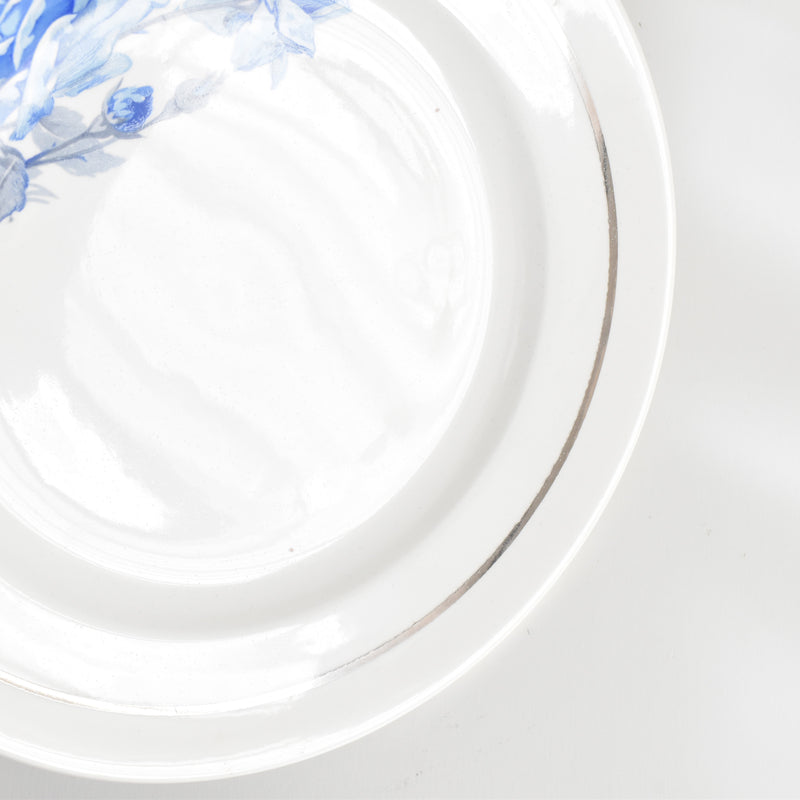 ヴィンテージデザートプレート ディゴワン＆サルグミンヌ 8944 B