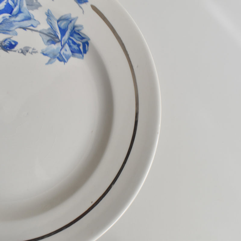 Vintage Dessert Plate, Digoin & Sarreguemines 8944 C