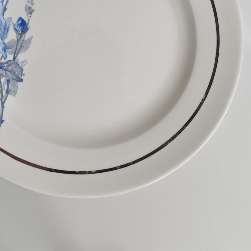 Vintage Dessert Plate, Digoin & Sarreguemines 8944 C