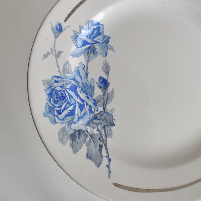 ヴィンテージデザートプレート ディゴワン＆サルグミンヌ 8944 E