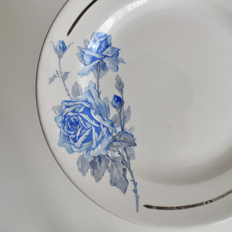 ヴィンテージデザートプレート ディゴワン＆サルグミンヌ 8944 F