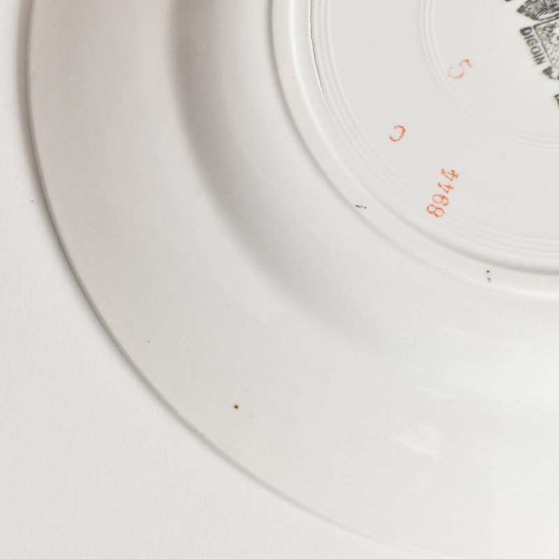 ヴィンテージプレート ディゴワン＆サルグミンヌ 8944 A