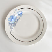 ヴィンテージプレート ディゴワン＆サルグミンヌ 8944 B