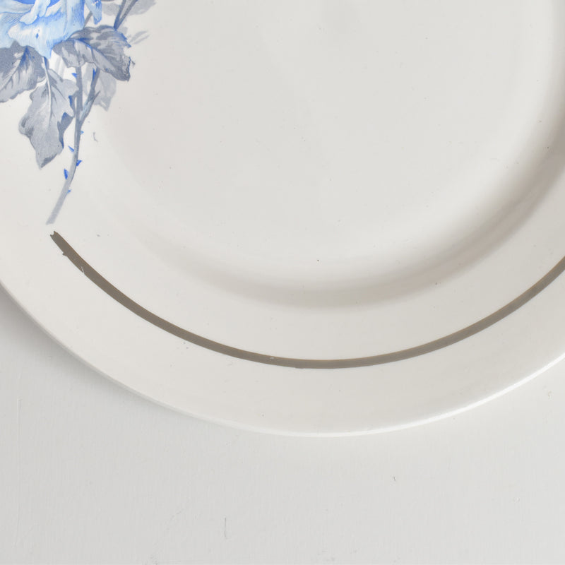 ヴィンテージプレート ディゴワン＆サルグミンヌ 8944 B