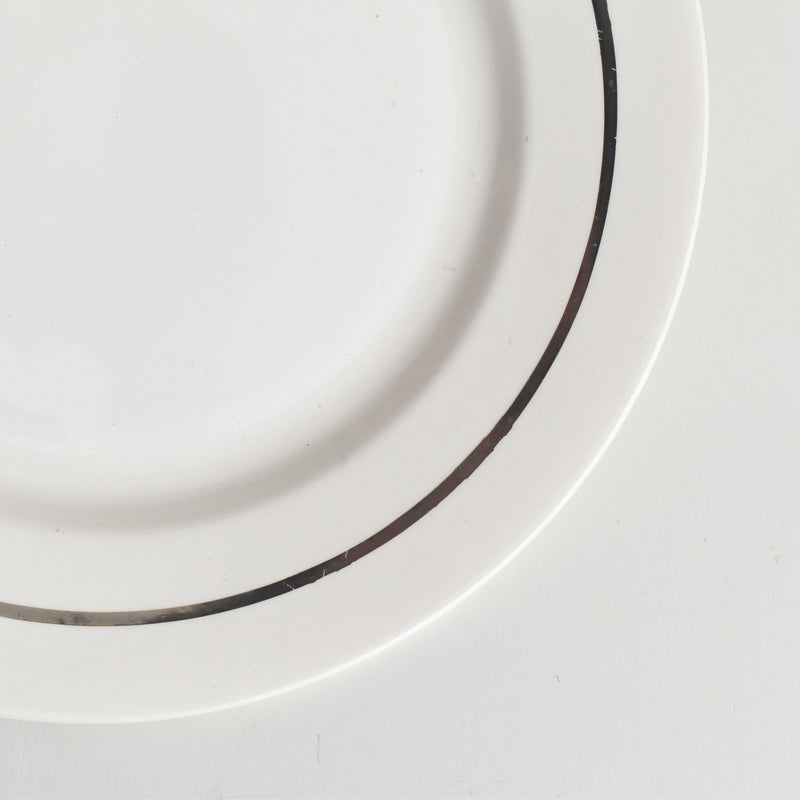 ヴィンテージプレート ディゴワン＆サルグミンヌ 8944 B