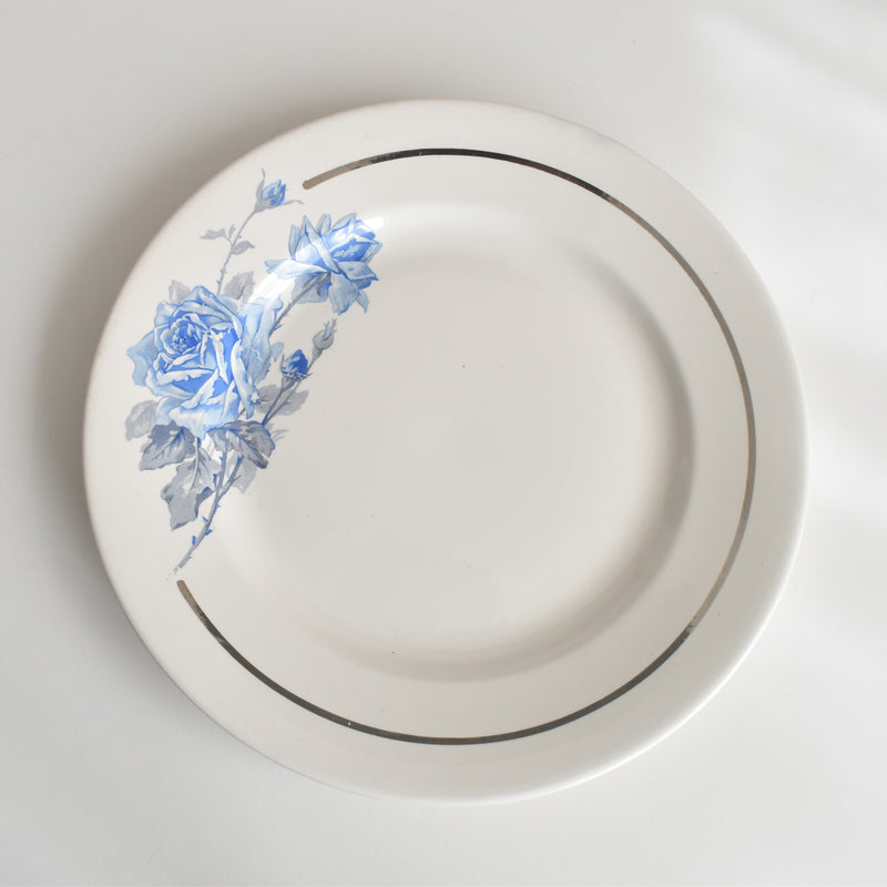 ヴィンテージプレート ディゴワン＆サルグミンヌ 8944 C