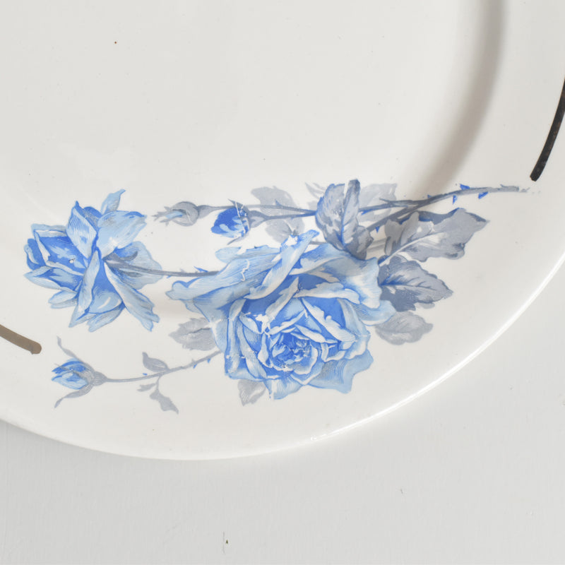 ヴィンテージプレート ディゴワン＆サルグミンヌ 8944 C