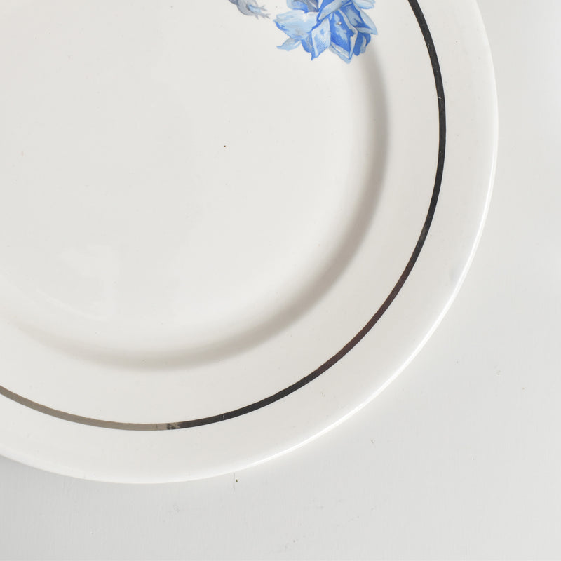 ヴィンテージプレート ディゴワン＆サルグミンヌ 8944 C