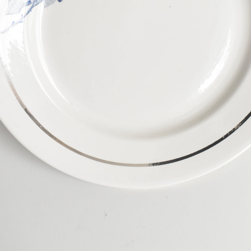 ヴィンテージプレート ディゴワン＆サルグミンヌ 8944 C