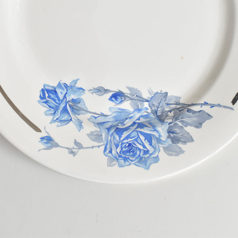 ヴィンテージプレート ディゴワン＆サルグミンヌ 8944 D