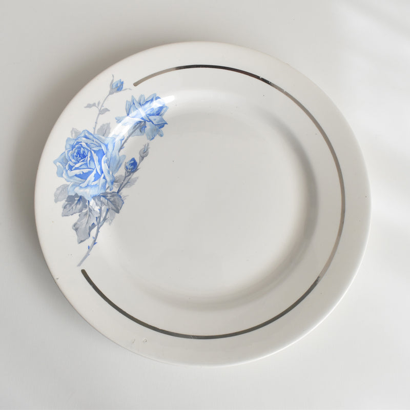 ヴィンテージプレート ディゴワン＆サルグミンヌ 8944 F