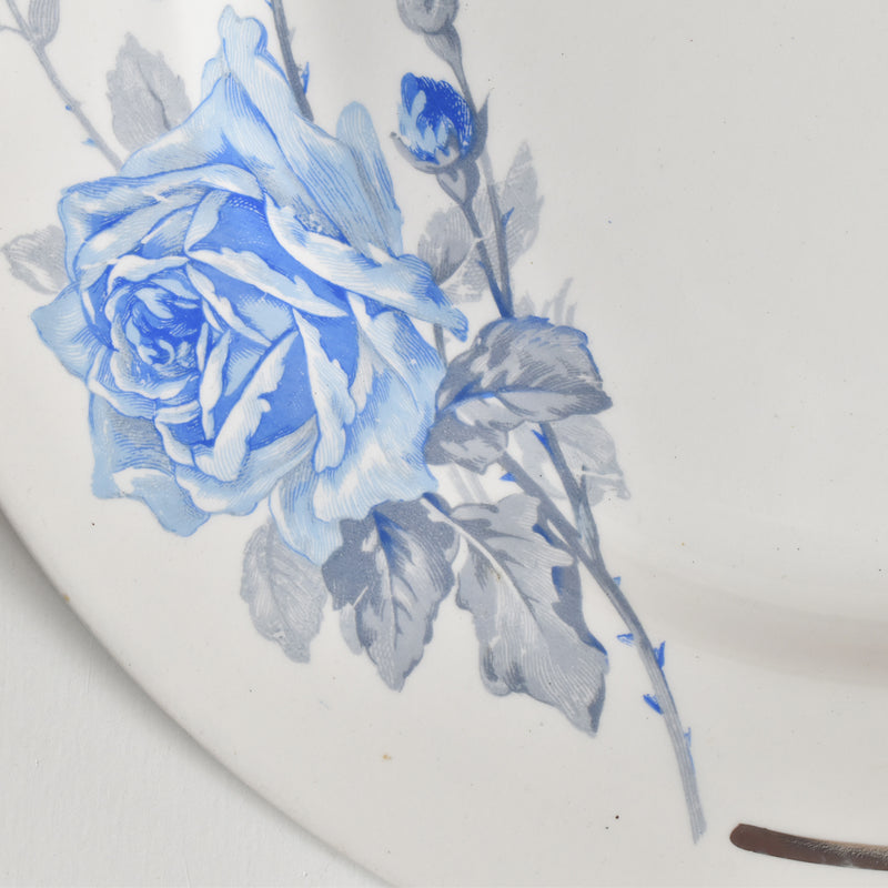 ヴィンテージプレート ディゴワン＆サルグミンヌ 8944 F