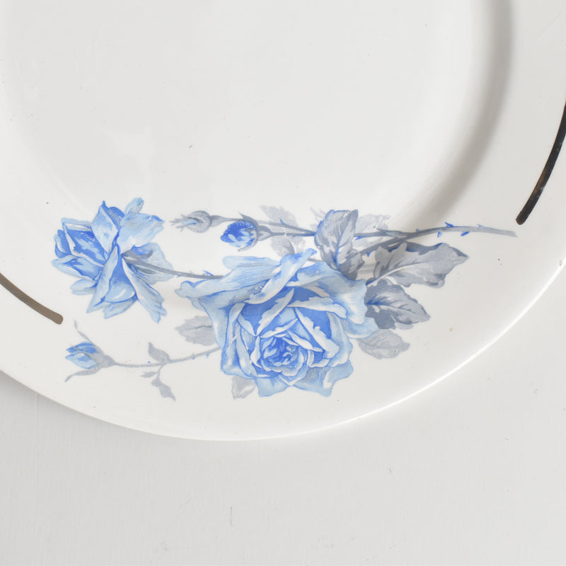 ヴィンテージプレート ディゴワン＆サルグミンヌ 8944 F