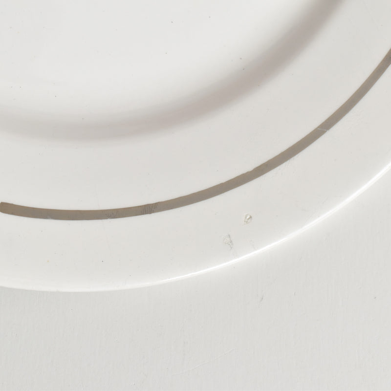 ヴィンテージプレート ディゴワン＆サルグミンヌ 8944 F