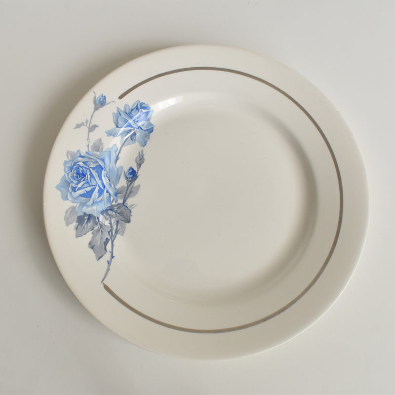 ヴィンテージプレート ディゴワン＆サルグミンヌ 8944 E