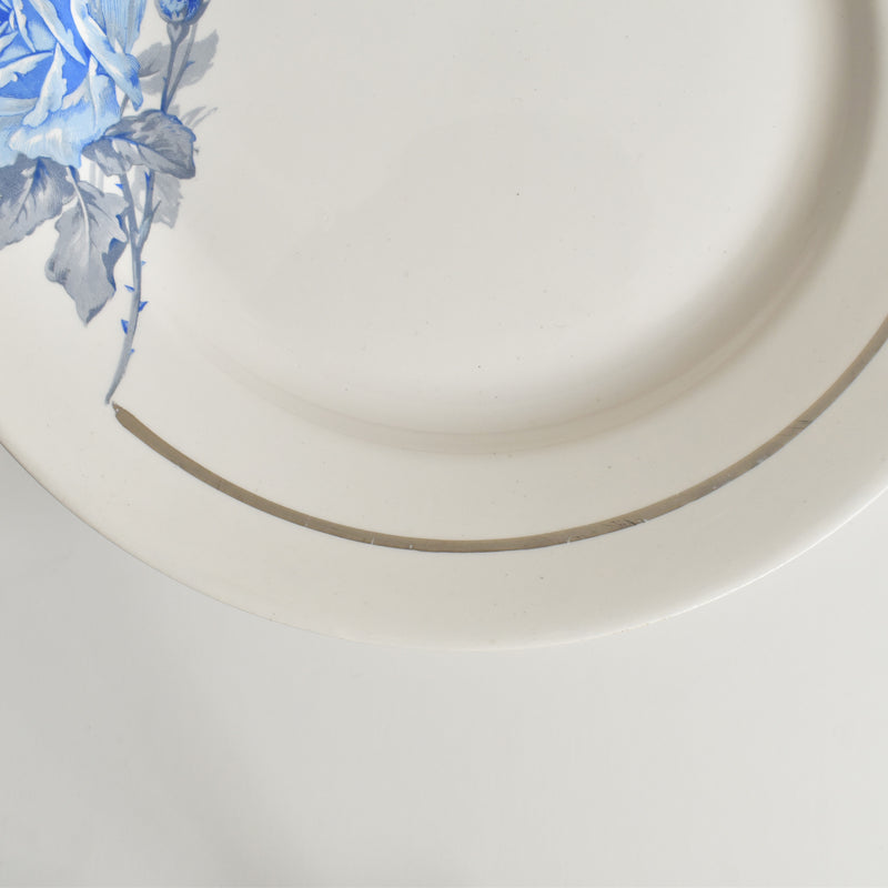 ヴィンテージプレート ディゴワン＆サルグミンヌ 8944 E