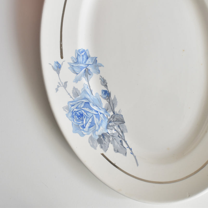 Vintage Oval Plate 30.5cm Digoin & Sarreguemines 8944