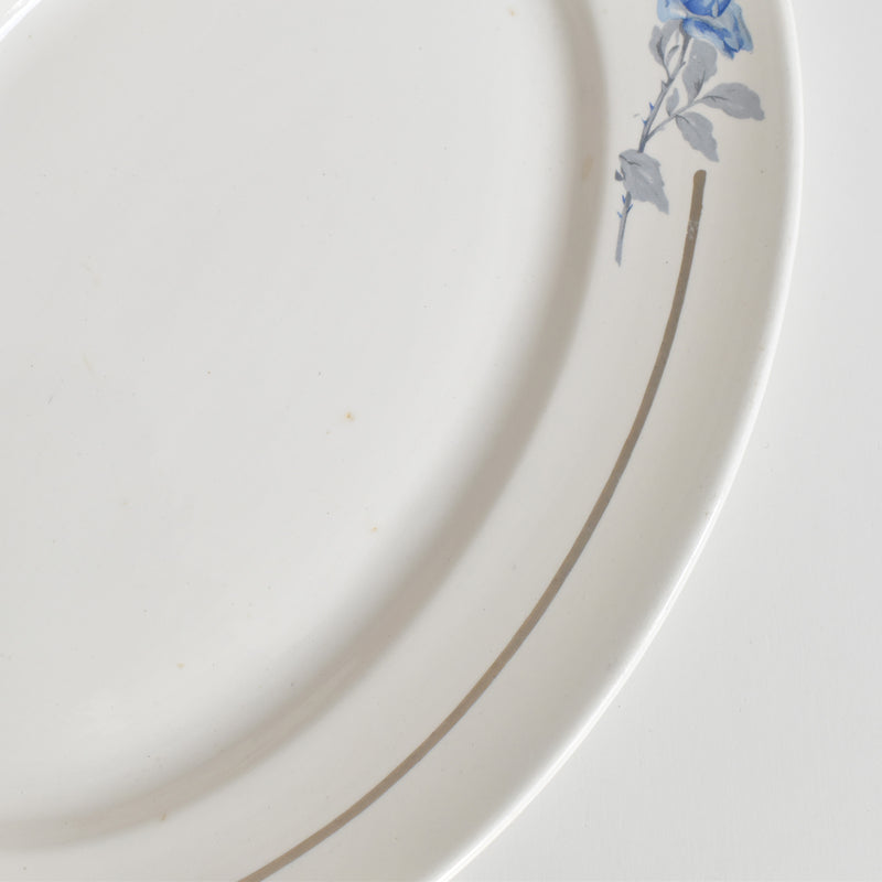 Vintage Oval Plate 30.5cm Digoin & Sarreguemines 8944