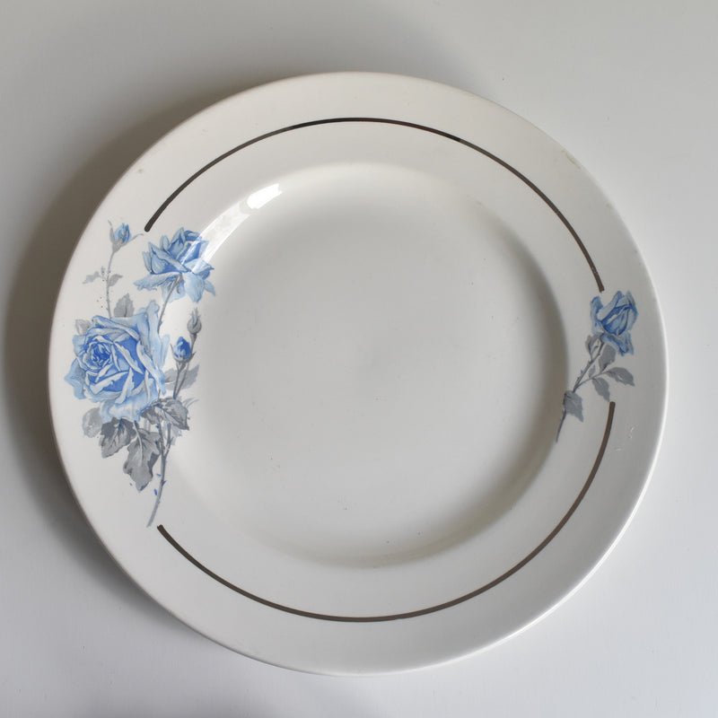 ヴィンテージ大皿 27cm　ディゴワン＆サルグミンヌ 8944