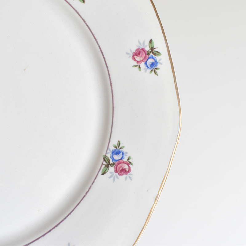 Vintage Plate Digoin & Sarreguemines 9123 A