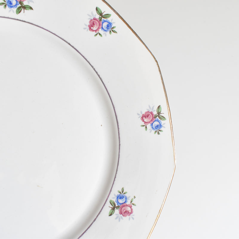 Vintage Plate Digoin & Sarreguemines 9123 A