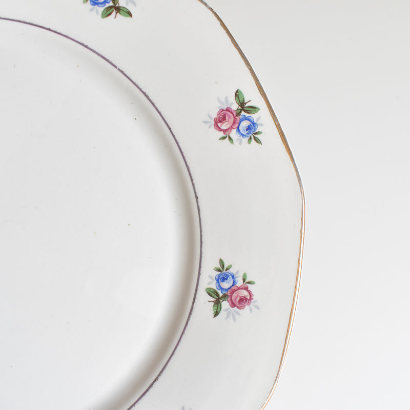 Vintage Plate Digoin & Sarreguemines 9123 A