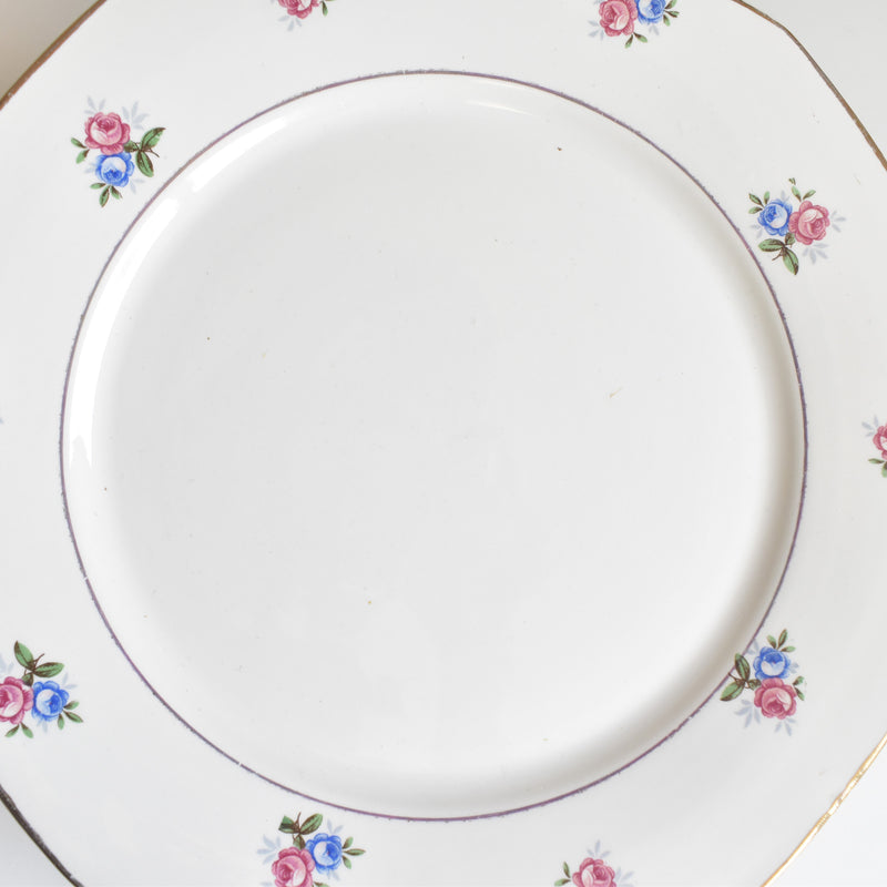 Vintage Plate Digoin & Sarreguemines 9123 A