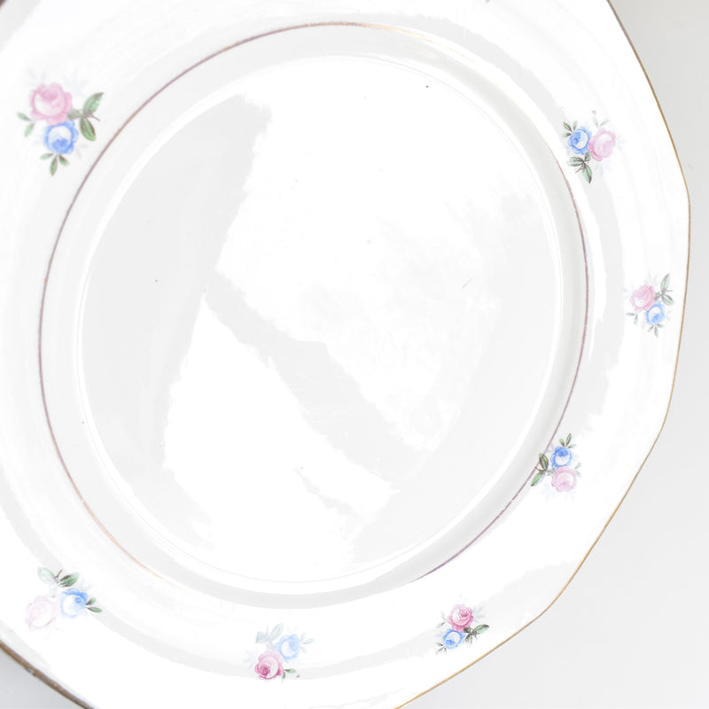 Vintage Plate Digoin & Sarreguemines 9123 A
