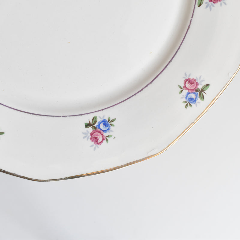 Vintage Plate Digoin & Sarreguemines 9123 A