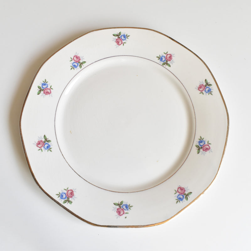 ヴィンテージプレート ディゴワン＆サルグミンヌ 9123 B