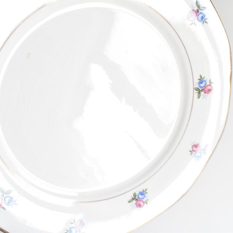 ヴィンテージプレート ディゴワン＆サルグミンヌ 9123 B