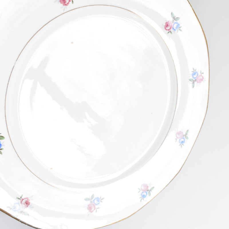 Vintage Plate Digoin & Sarreguemines 9123 C