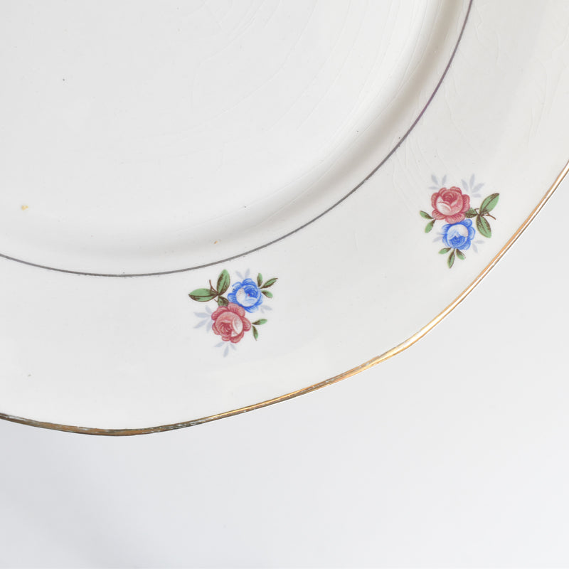 Vintage Plate Digoin & Sarreguemines 9123 C